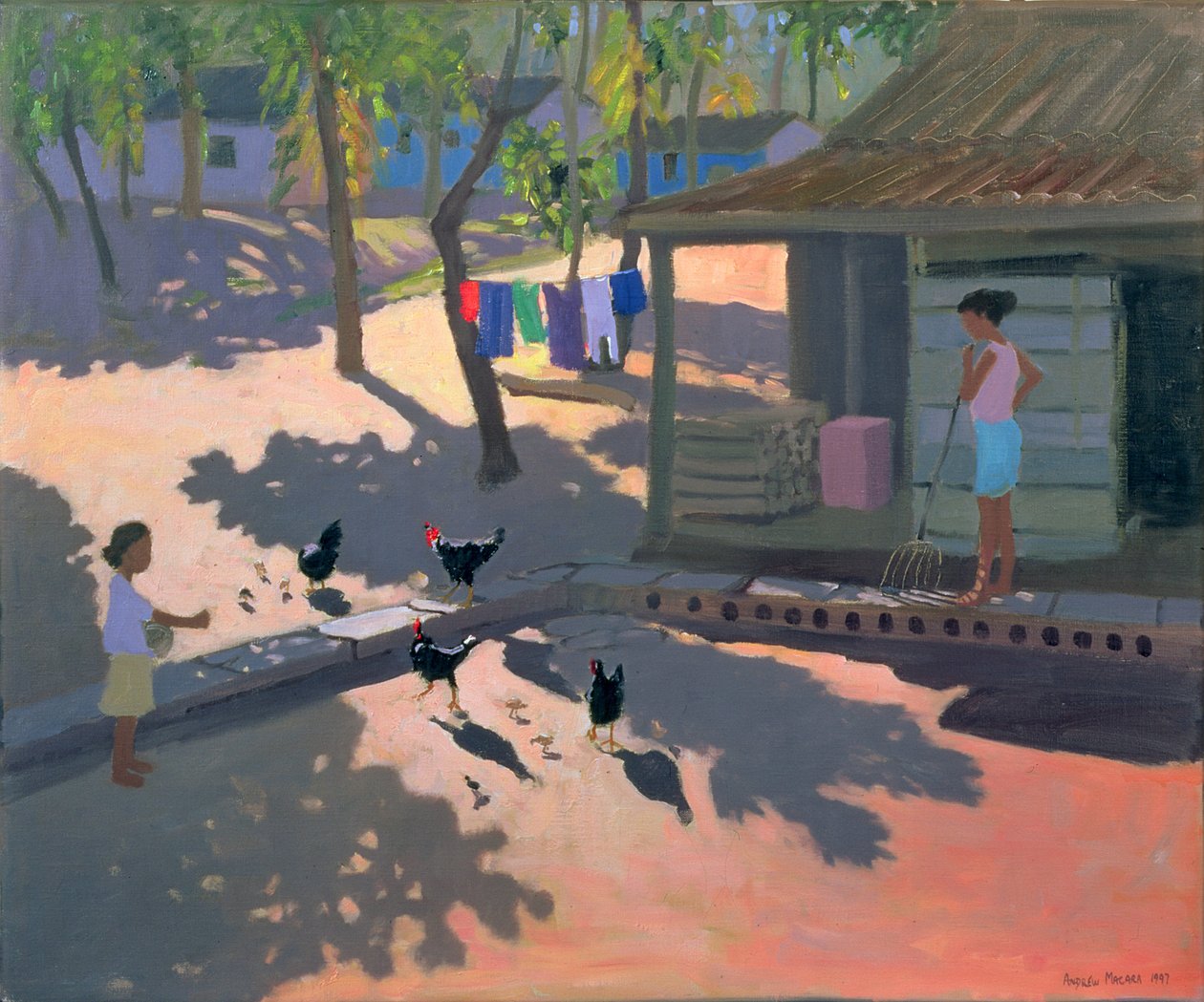 Tyúkok és csirkék, Kuba, 1997 alkotó: Andrew Macara