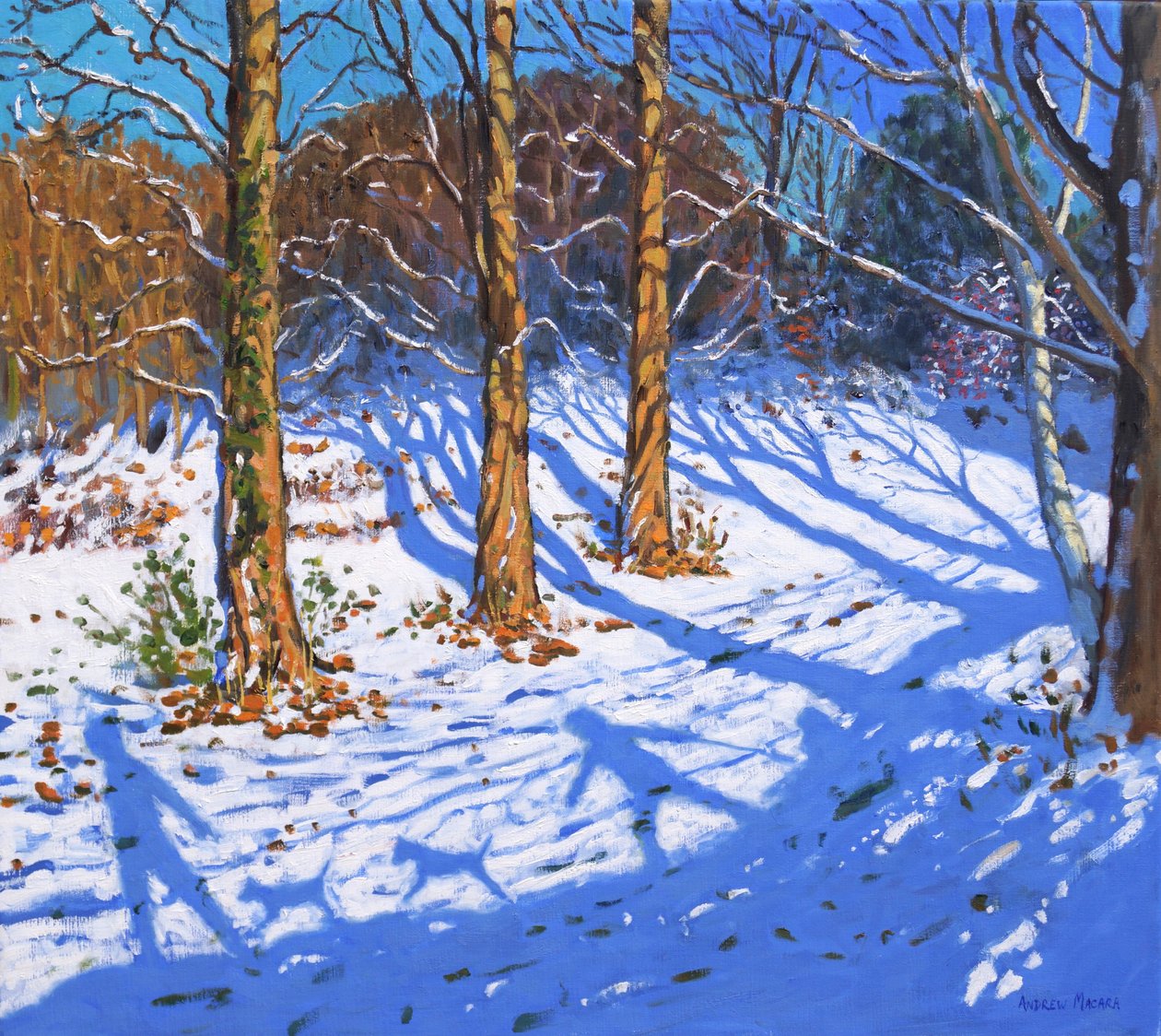 November hó, Allestree Park, Derby, 2017, alkotó: Andrew Macara