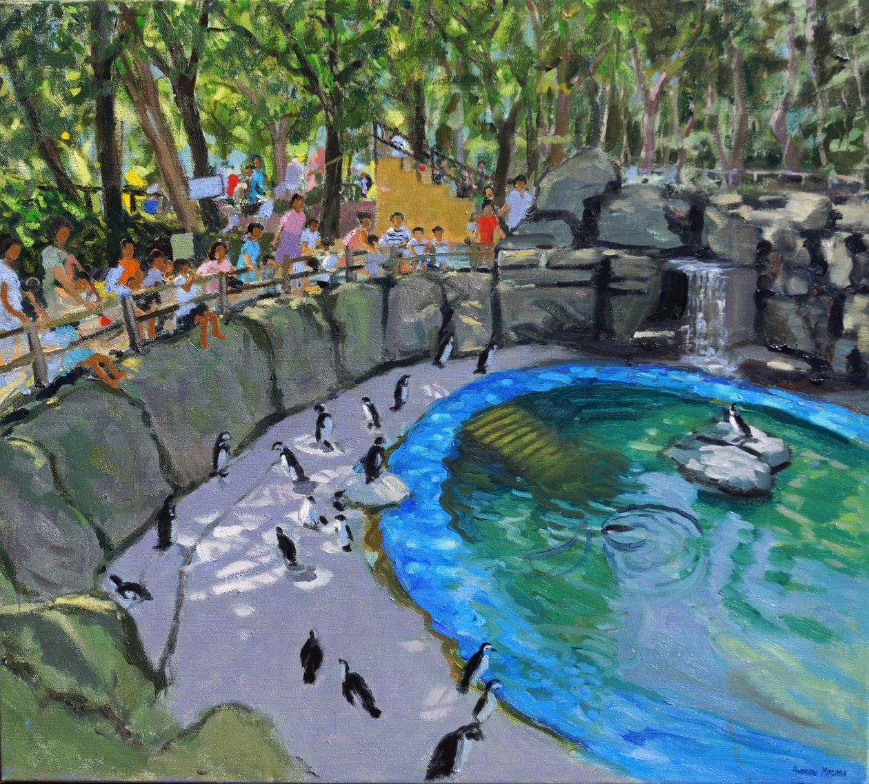 Pingvin Pool, Madridi Állatkert. 2015 alkotó: Andrew Macara