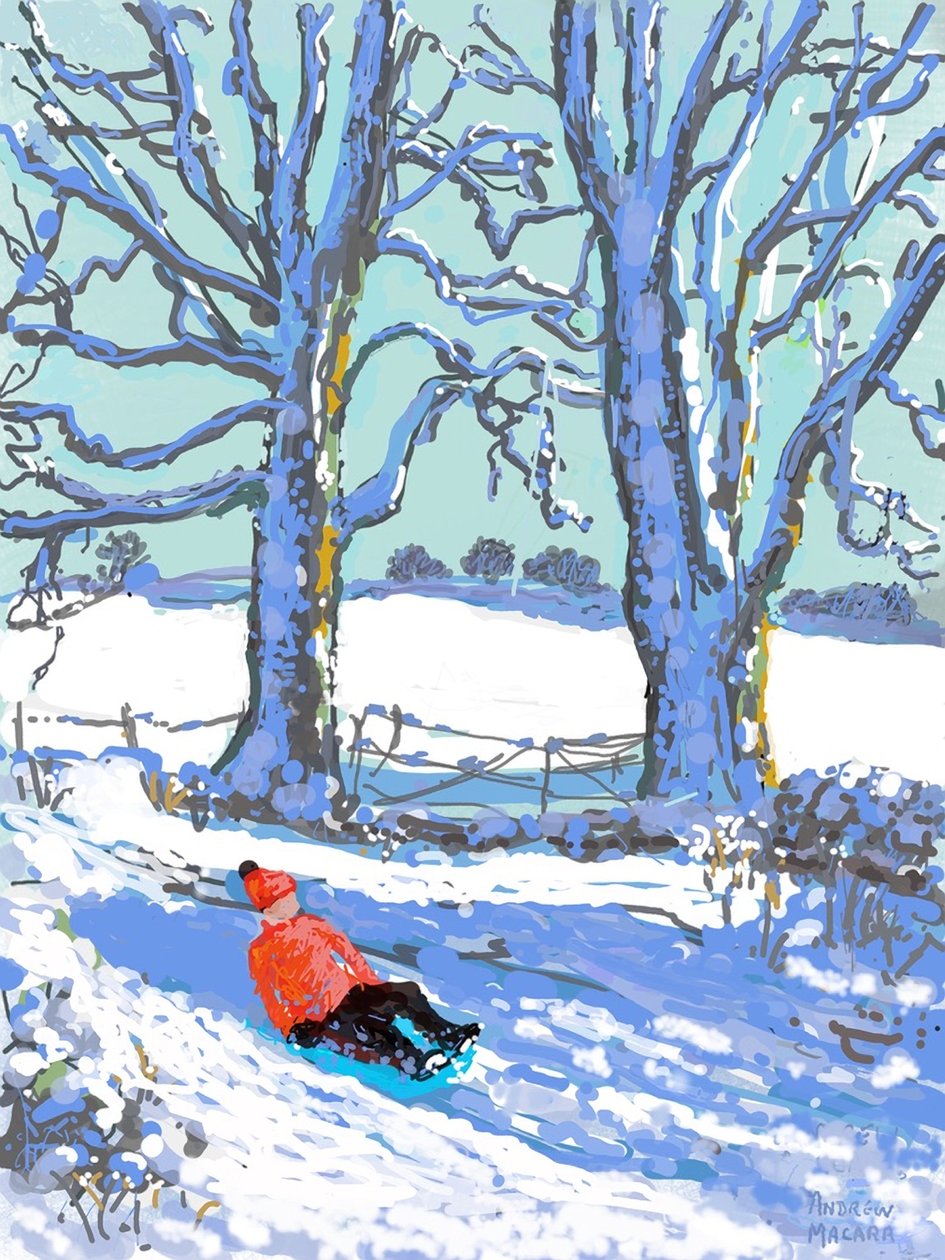 Szánkózás Derbyshire-ben, 2021 (Ipad print) alkotó: Andrew Macara