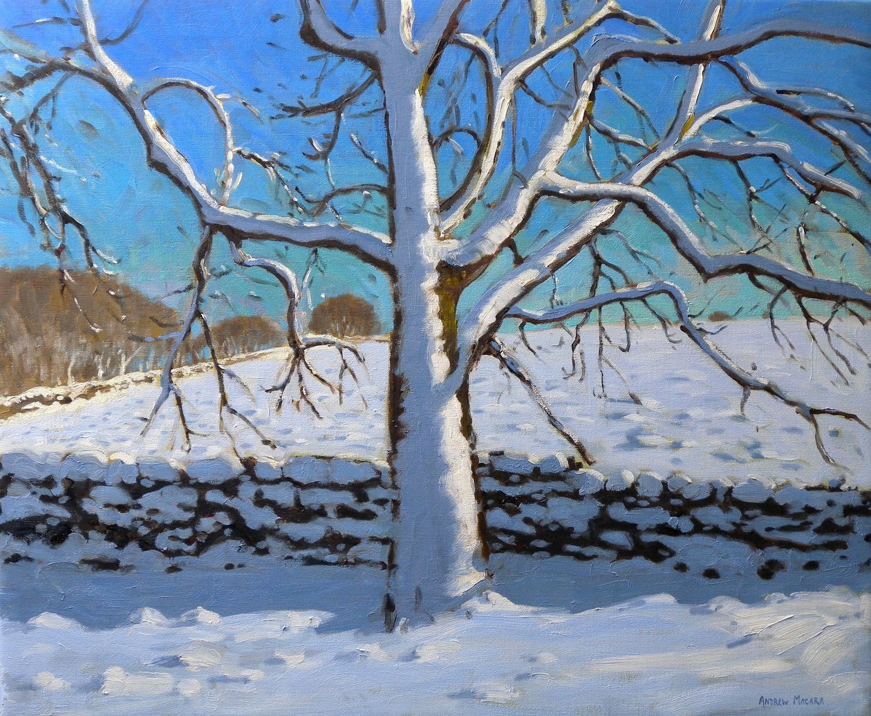 Hóval borított fa, 2011 (olaj, vászon) alkotó: Andrew Macara