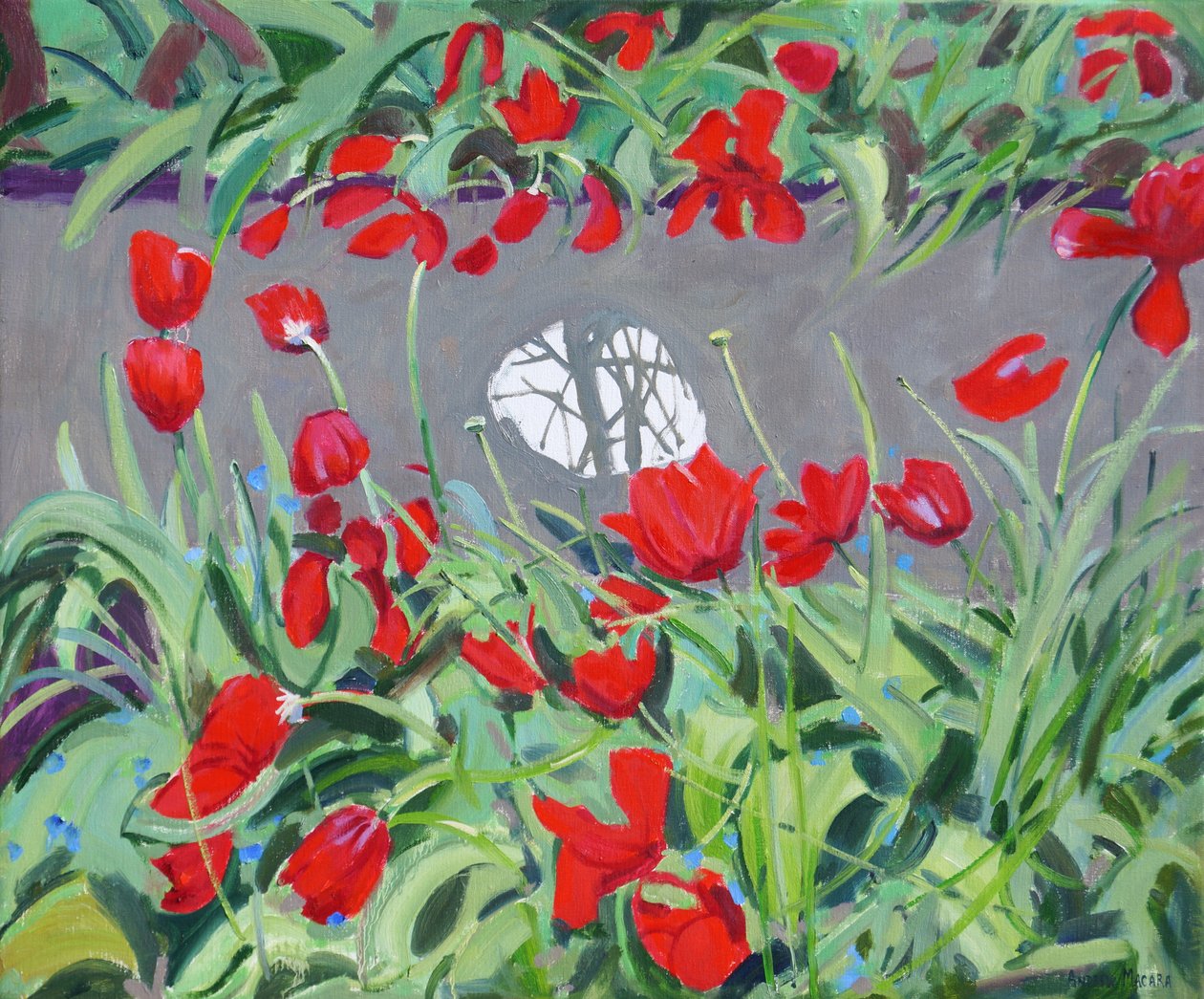 Tulipánok és tükörkép, 2017, alkotó: Andrew Macara