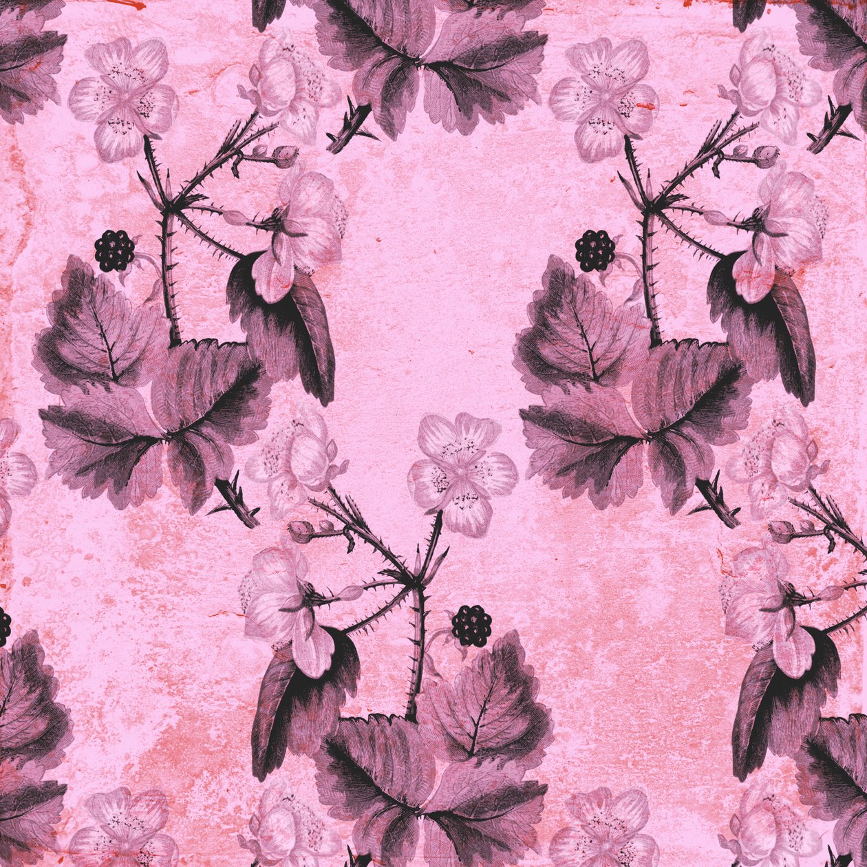Blackberry Floral, 2017, akvarell és digitális alkotó: Andrew Watson