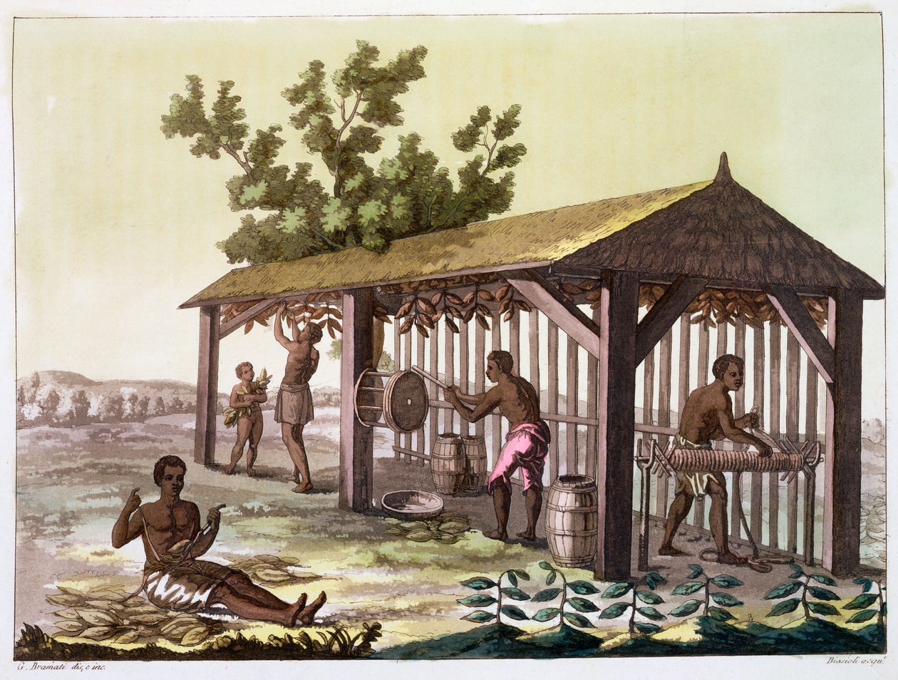 Rabszolgák, dohányt készítenek, Virginia, USA. c1790 c1820-1839 alkotó: Angelo Biasioli