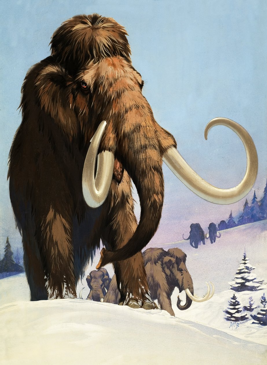 Mamutok a jégkorszakból alkotó: Angus McBride