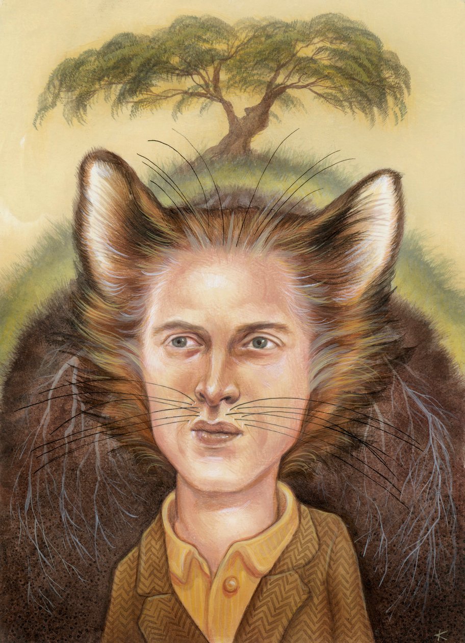 Wes Anderson, 2009 (akril, illusztrációs karton) alkotó: Anita Kunz