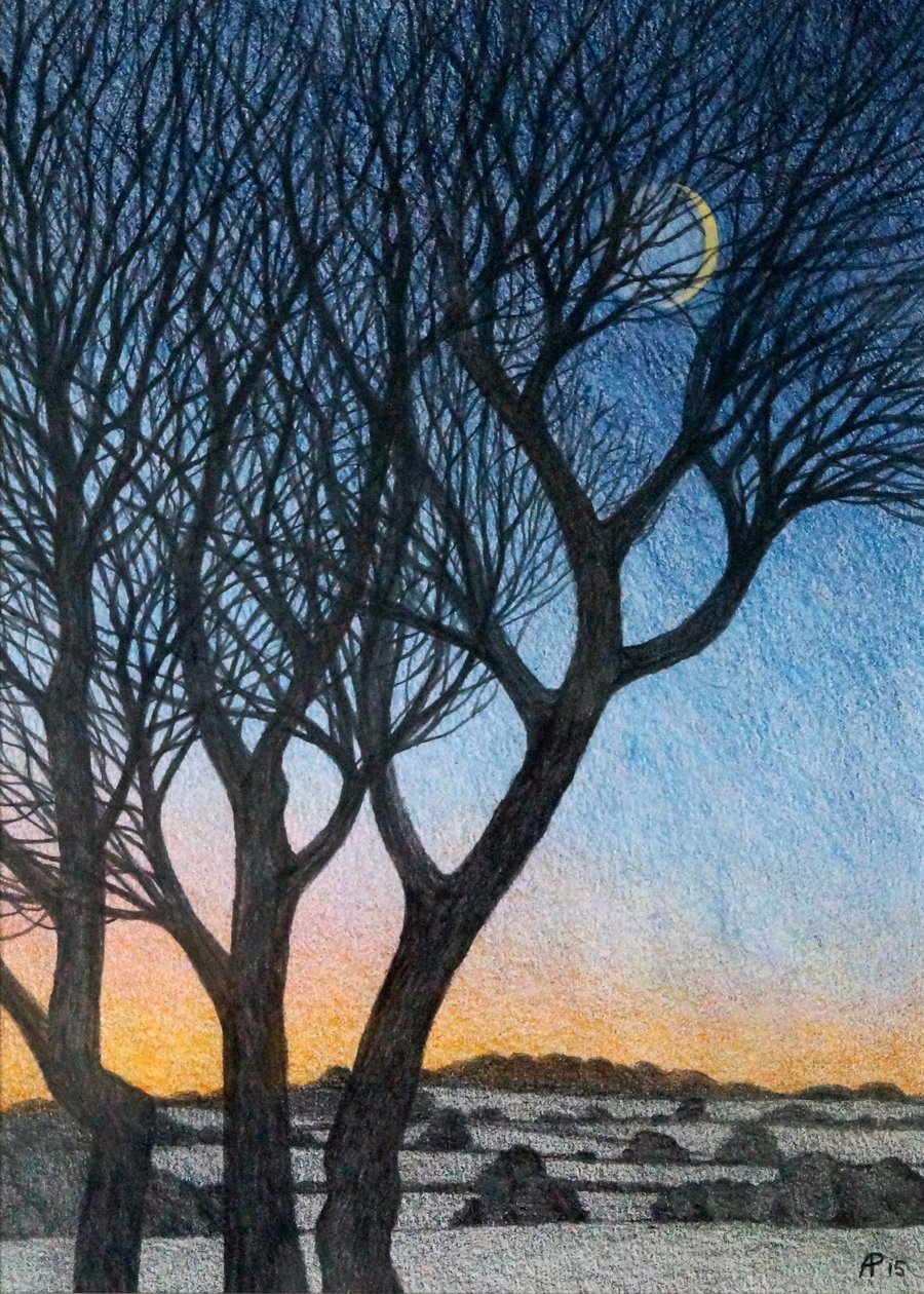 Fák és Hold, 2015 (vegyes technika papíron) alkotó: Anna Phillips