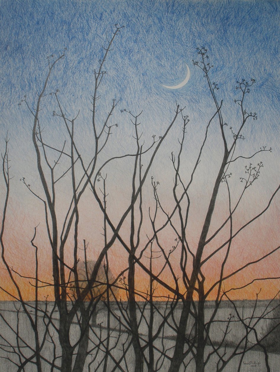 Az én ablakomból, 2011 (színes ceruza papíron) alkotó: Anna Phillips