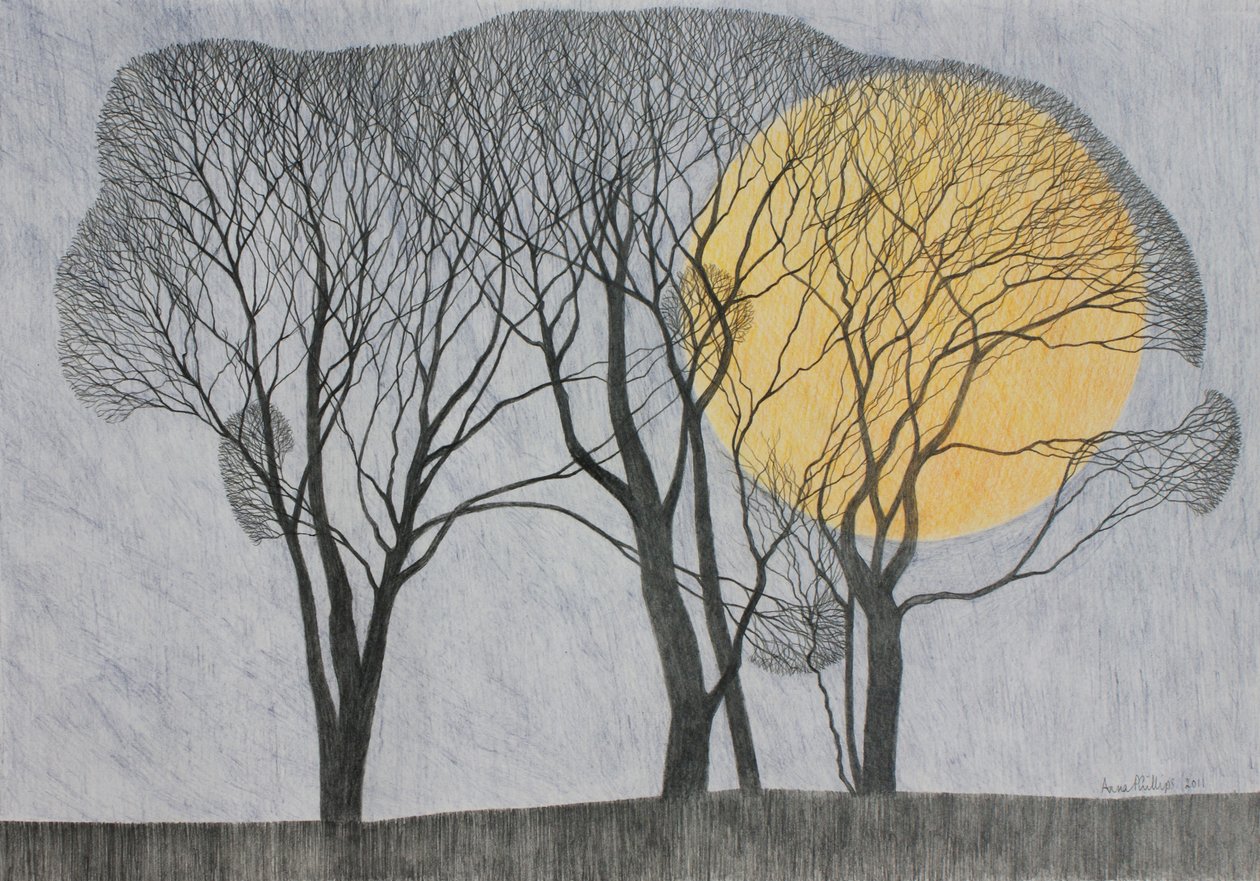 Megamoon, 2011 (színes ceruza papíron) alkotó: Anna Phillips