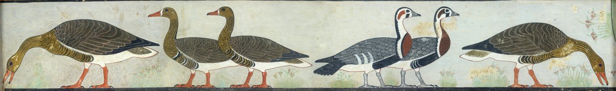 Itet Mastaba falfestményének másolata, IV. Medum, 93-94 liba, XX. alkotó: Anna