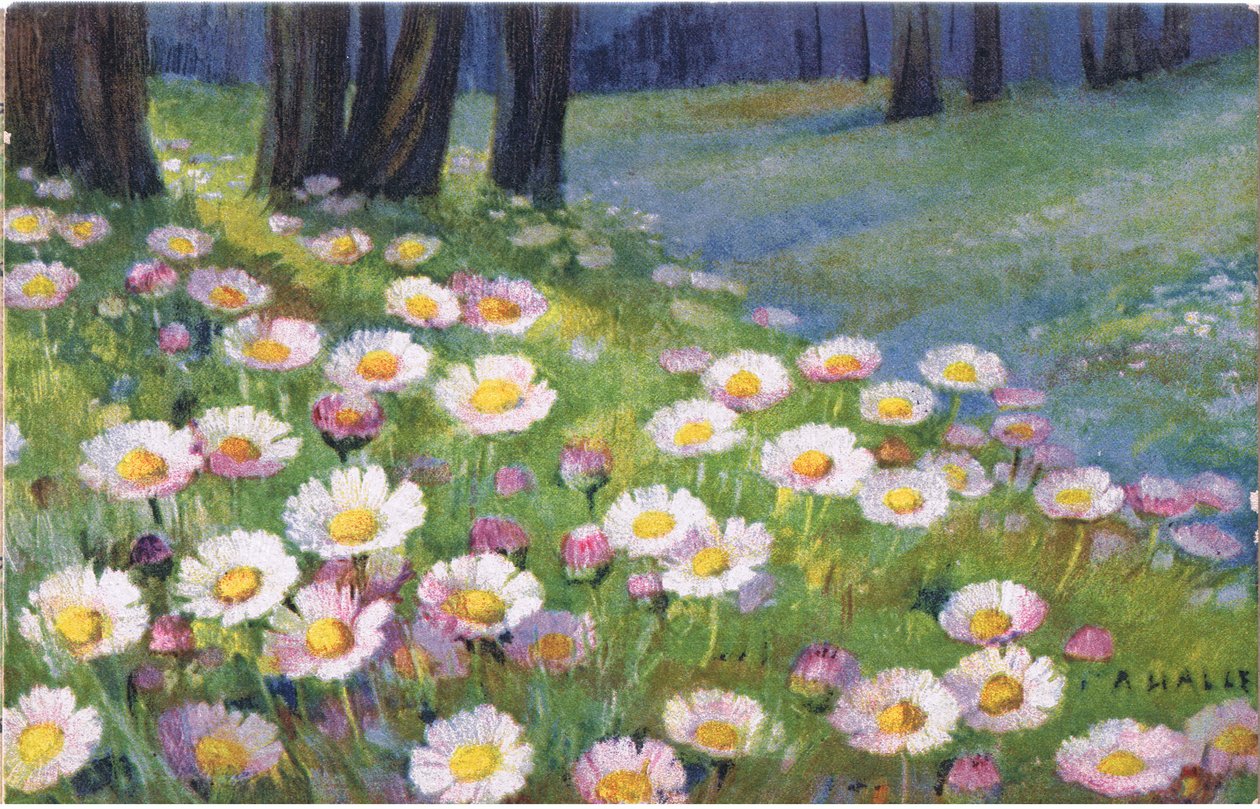 Százszorszépek, Képeslap, 1940-es évek alkotó: Anna Haller