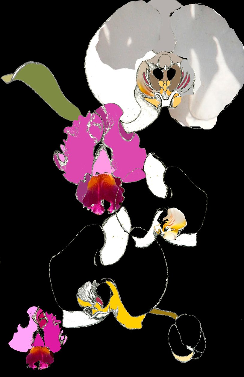 Orchidea alkotó: Anna Platts