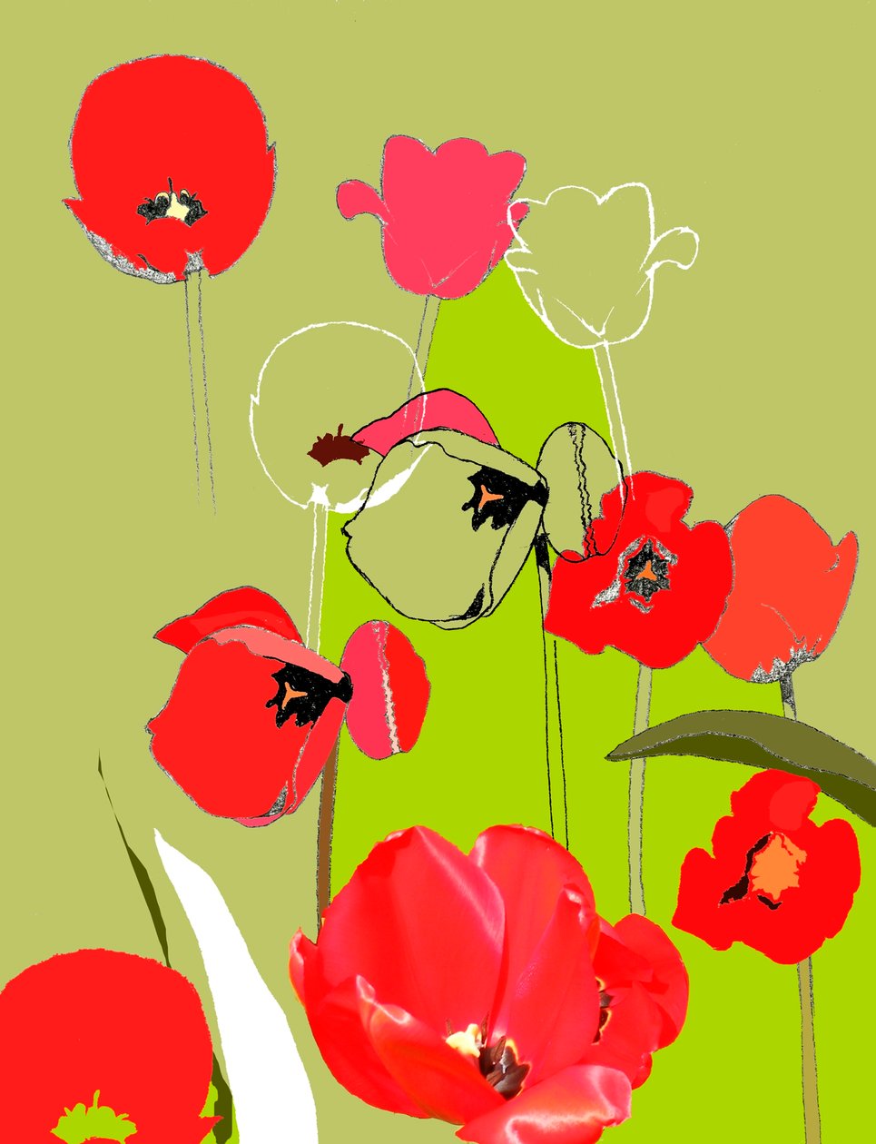 Tulipán alkotó: Anna Platts