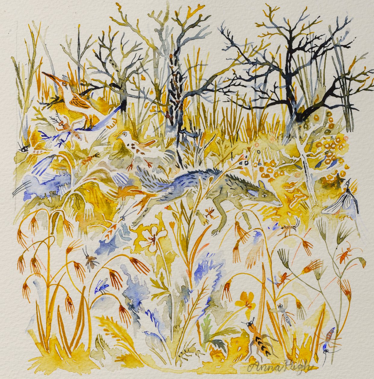 Róka az erdőben, 2023 (akvarell) alkotó: Anna Pugh