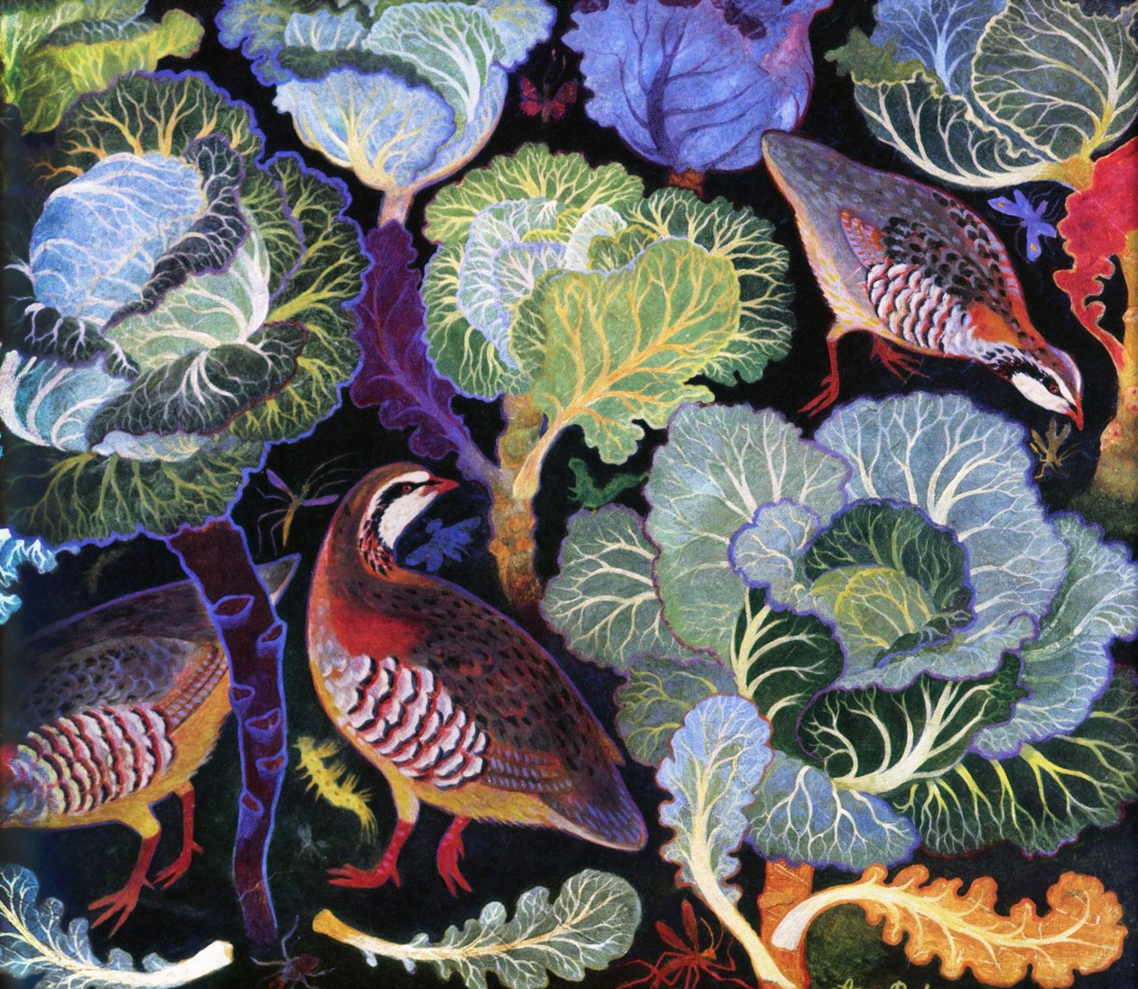 Káposzta a káposztaföldön alkotó: Anna Pugh