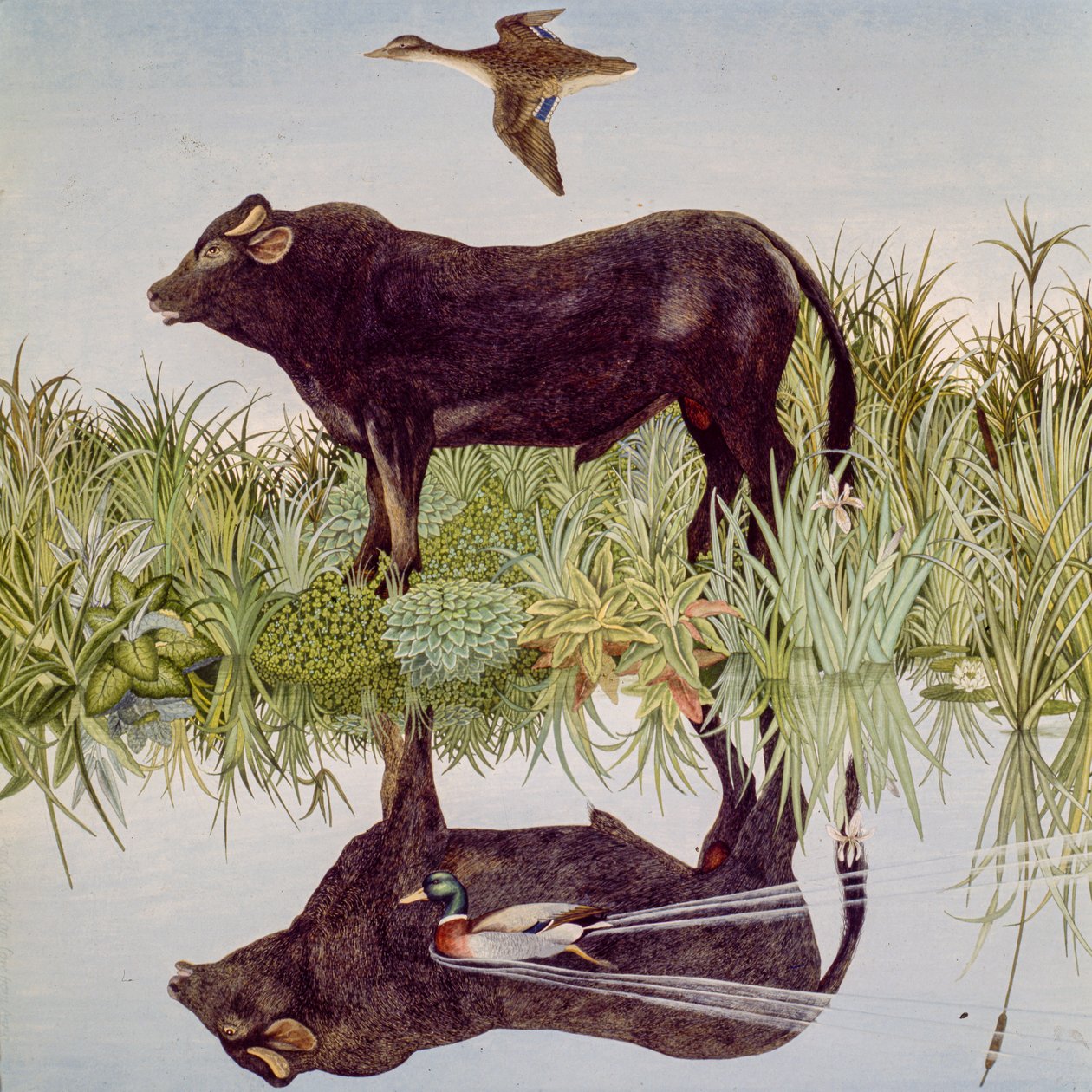 Reflecting, 2004 (akril) alkotó: Anna Pugh