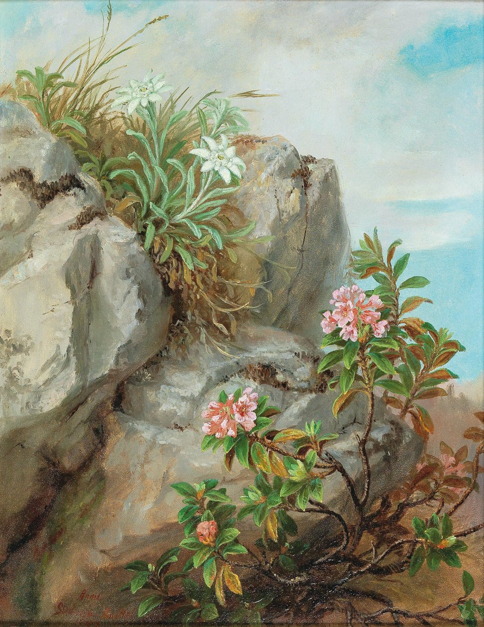 Alpesi rózsák alkotó: Anna Stainer Knittel
