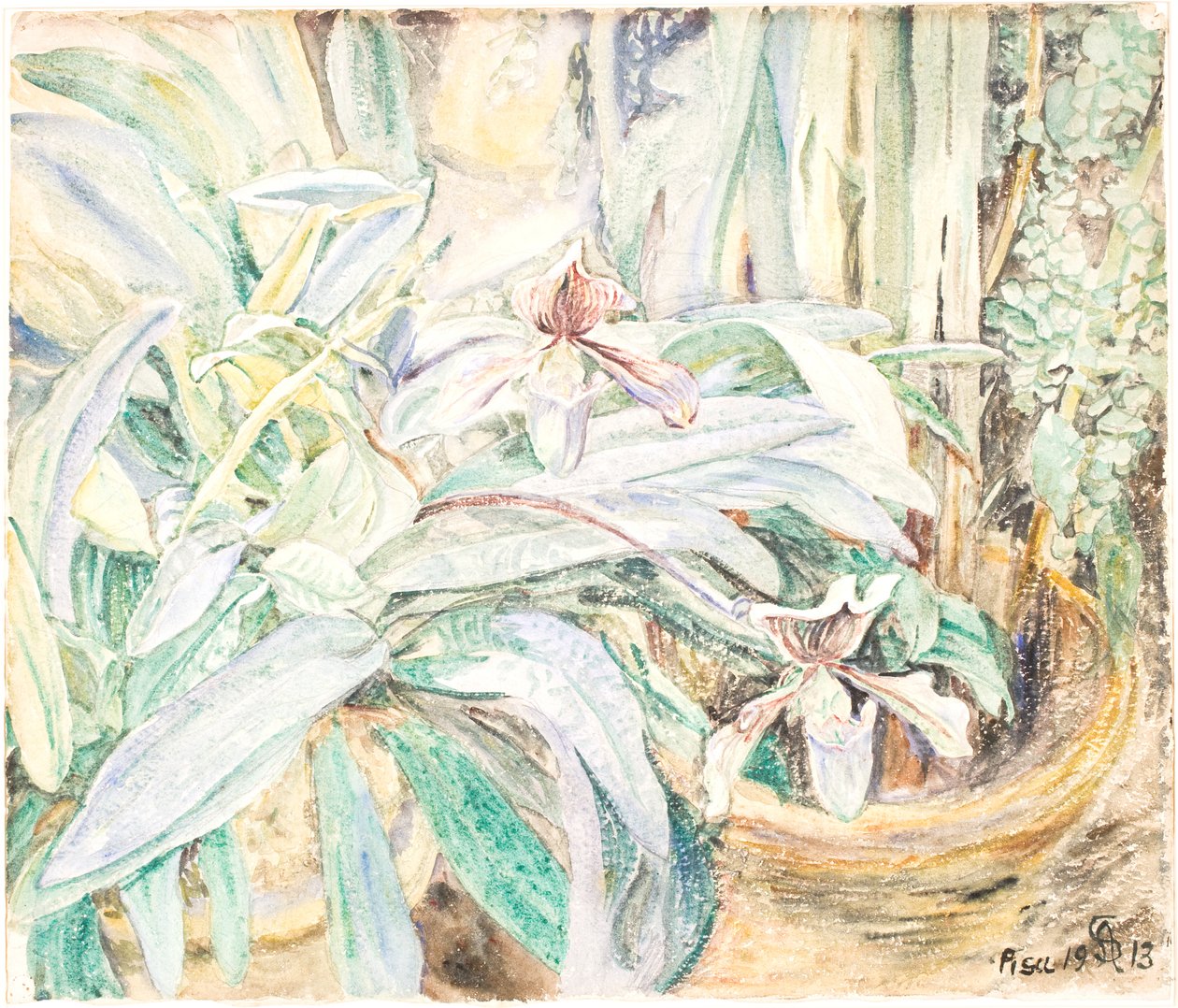 Orchideák, Botanikus Kert, Pisa alkotó: Anna Syberg