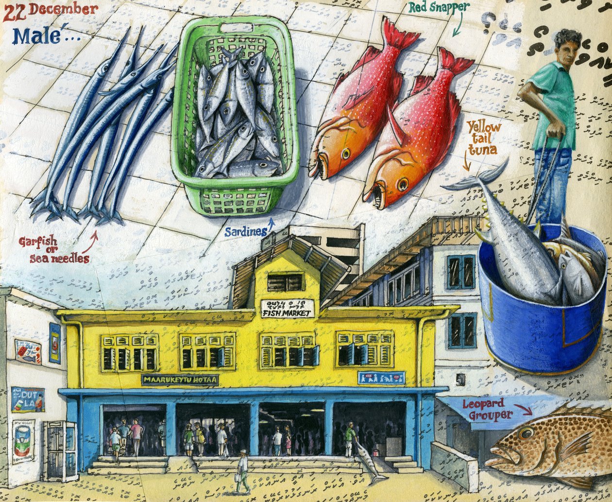Halpiac, 2018 (gouache  toll) alkotó: Annalisa Morrocco
