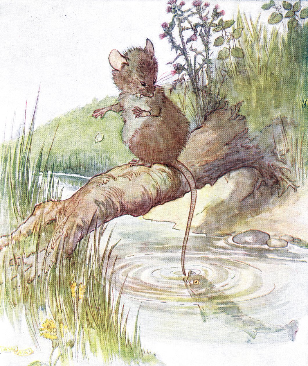 "Jött egy hal, és élesen megcsípte", illusztráció a Thomas Nelson und Sons által kiadott "The Mischievious Mousie Book"-ból, 1920-as évek. alkotó: Anne Anderson