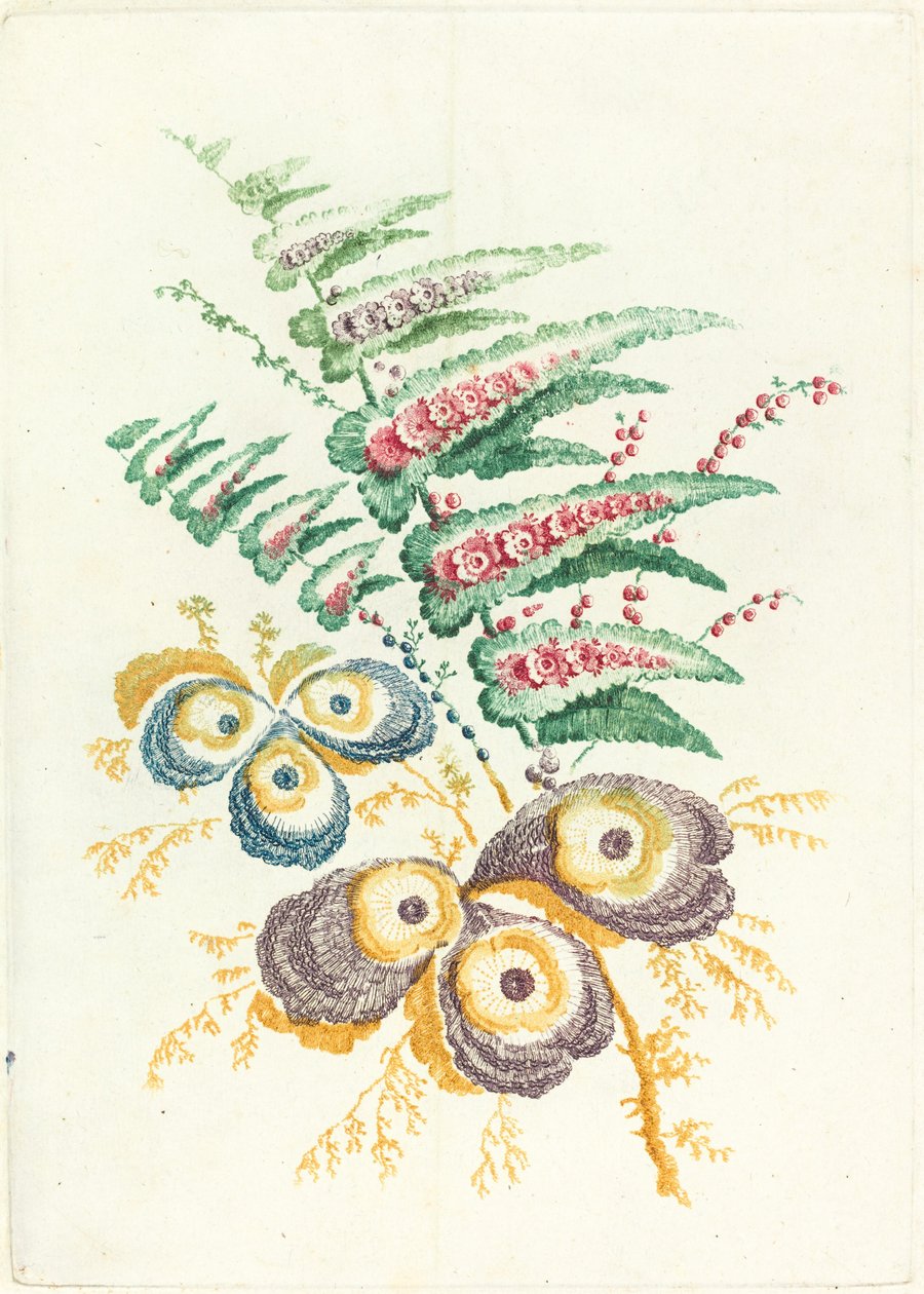 Fantasztikus virágok osztrigahéjú virágokkal, c. 1795. alkotó: Anne Allen