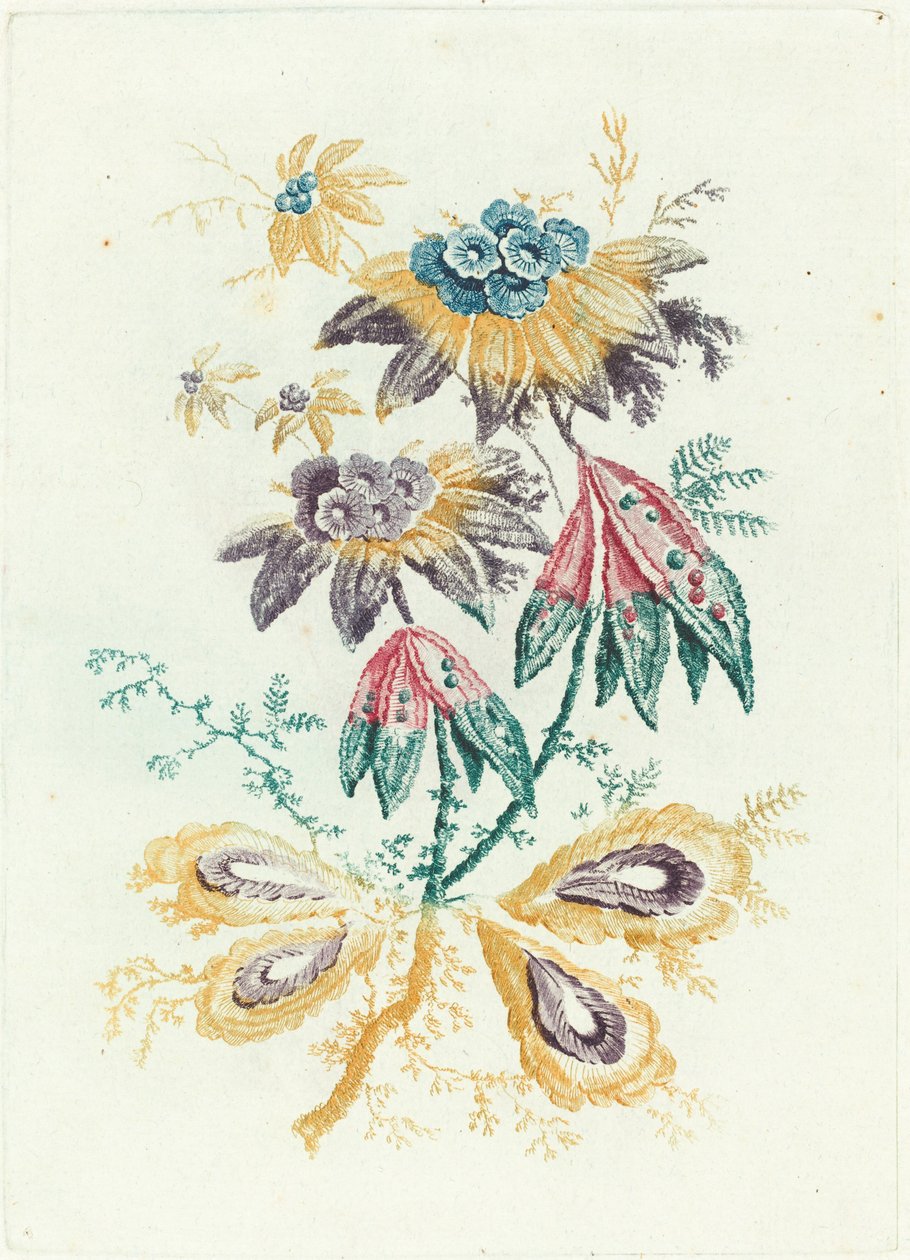 Fantasztikus virágok borsólevelekkel, 1795. alkotó: Anne Allen