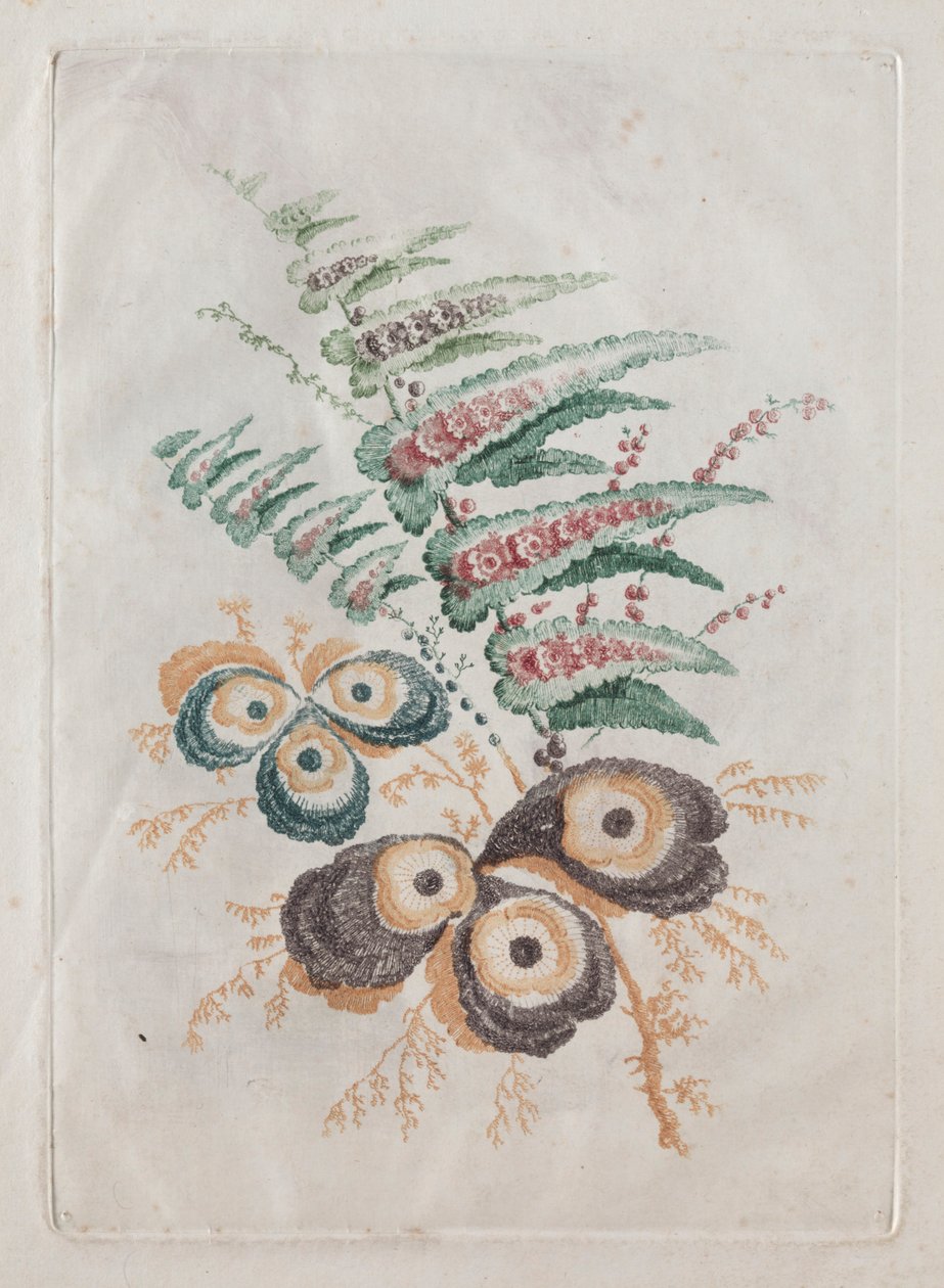 Új virágportfólió-csomag, amely ideális a tervezéshez és a festéshez: Virágos fantáziák, c. 179 alkotó: Anne Allen