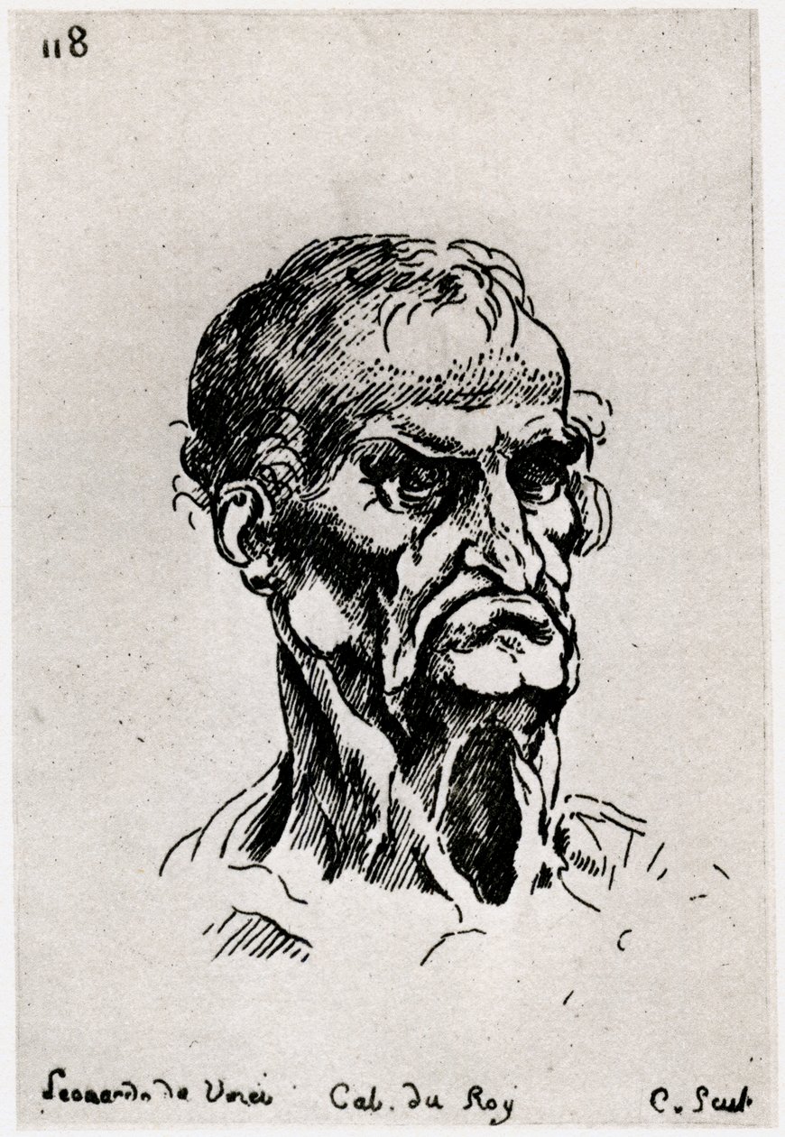 Rajz Leonardo de Vinci után, c1710-1765 1924 alkotó: Anne Claude Philippe de Caylus