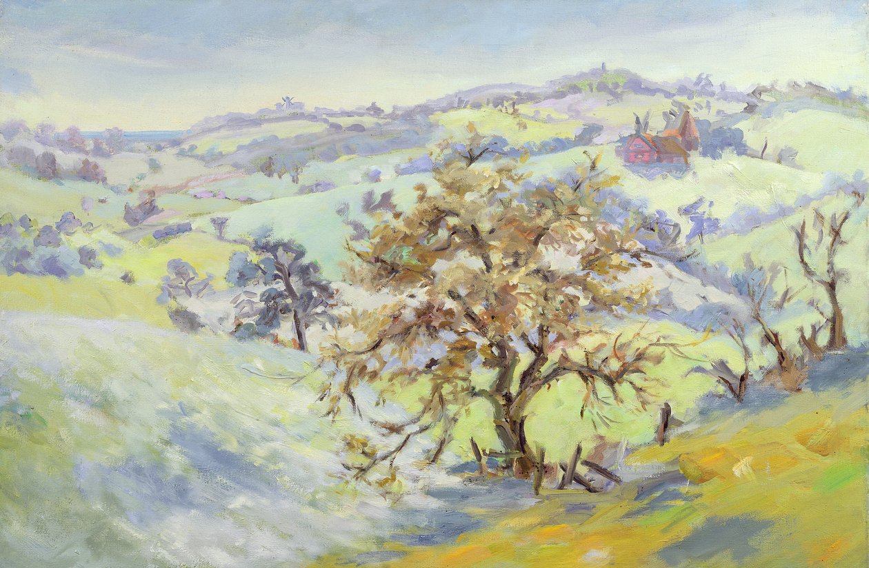 Udimore-ból Peasmarch felé, Sussex, télen alkotó: Anne Durham