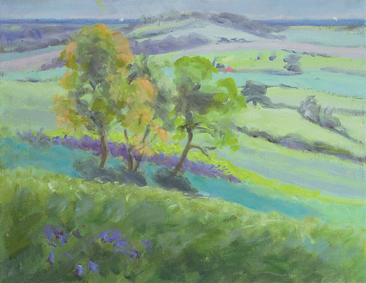 Winchelsea felé, Sussex, Bluebells tavasszal alkotó: Anne Durham