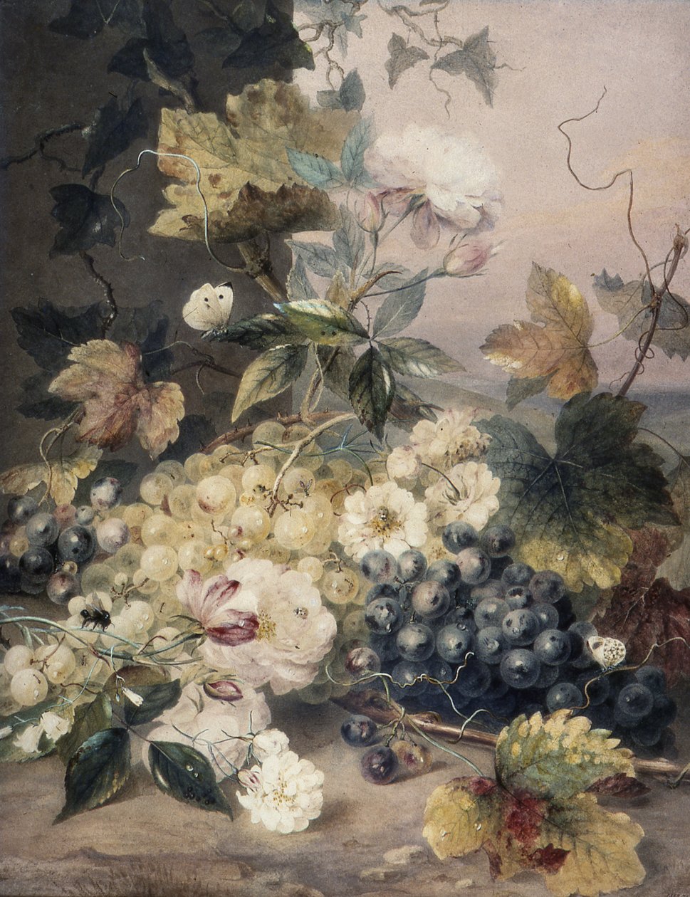 Rózsa és szőlő alkotó: Anne Frances Byrne
