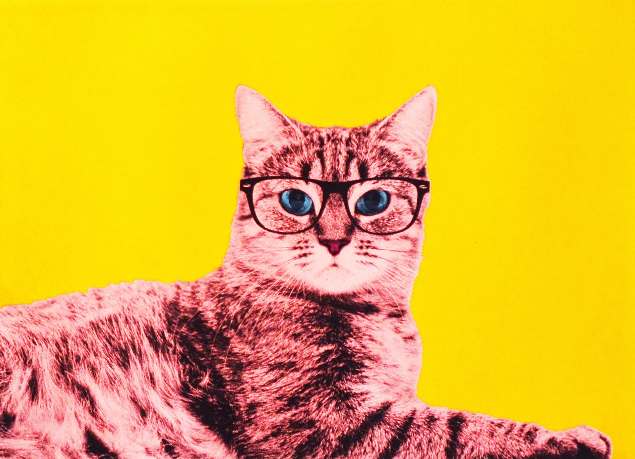 Élet a technicolorban, 2017 alkotó: Anne Storno