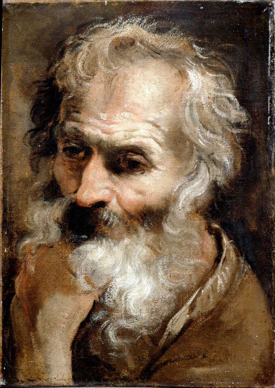 Egy öregember feje alkotó: Annibale Carracci