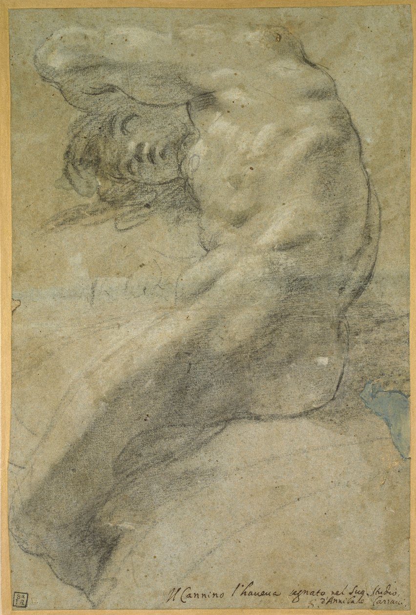 Tanulmány egy meztelen férfiról alkotó: Annibale Carracci