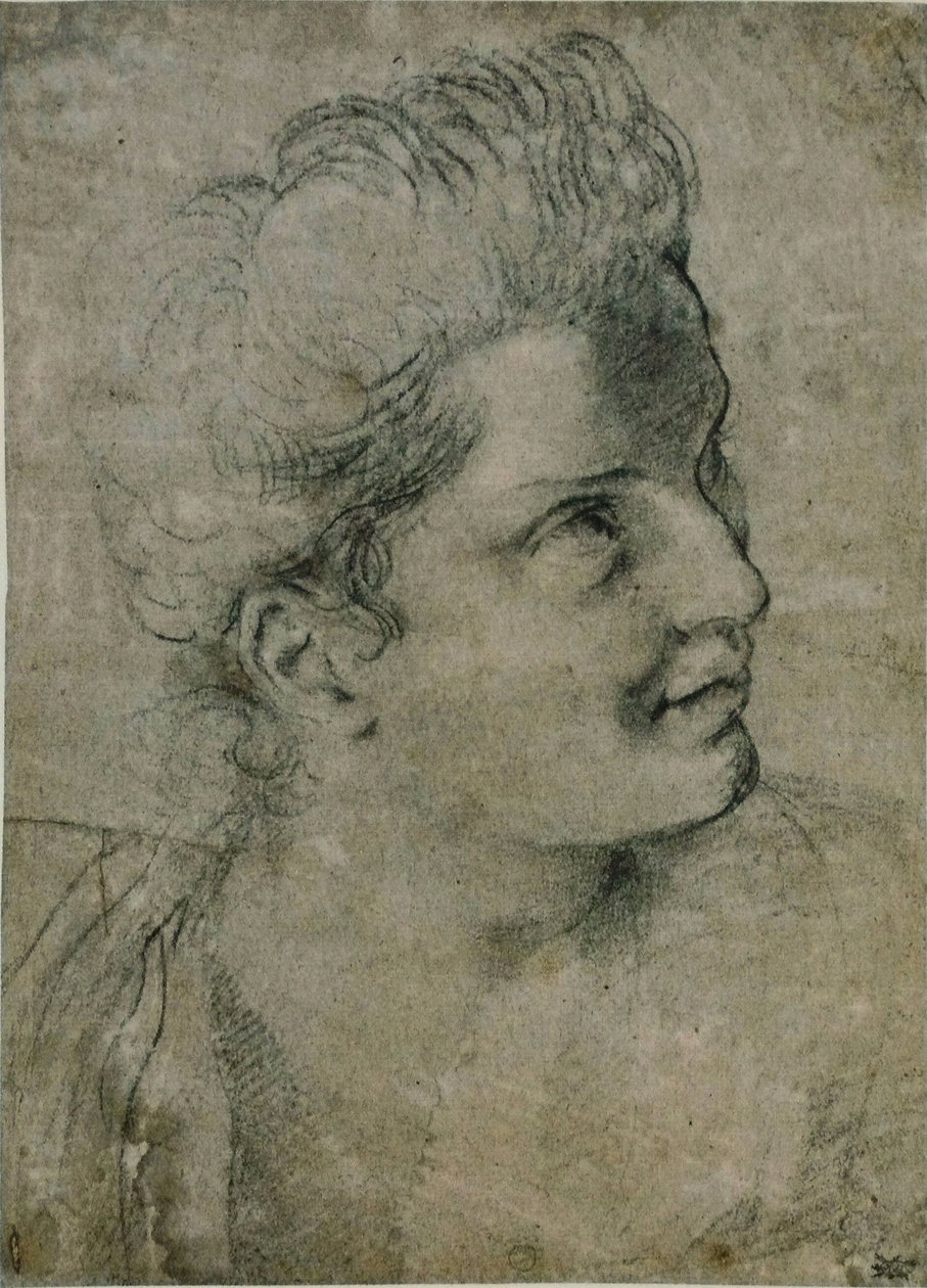 Egy nő feje alkotó: Annibale Carracci