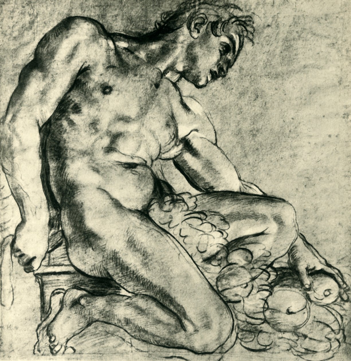 Ülő Ignudo füzérrel, 1598-1599, 1943. alkotó: Annibale Carracci