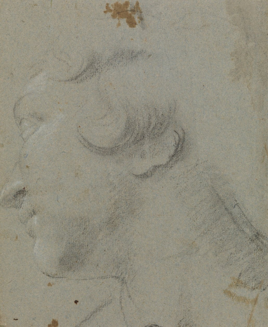 Carracci - r Szent Katalin feje, RCIN 902115 alkotó: Annibale Carracci