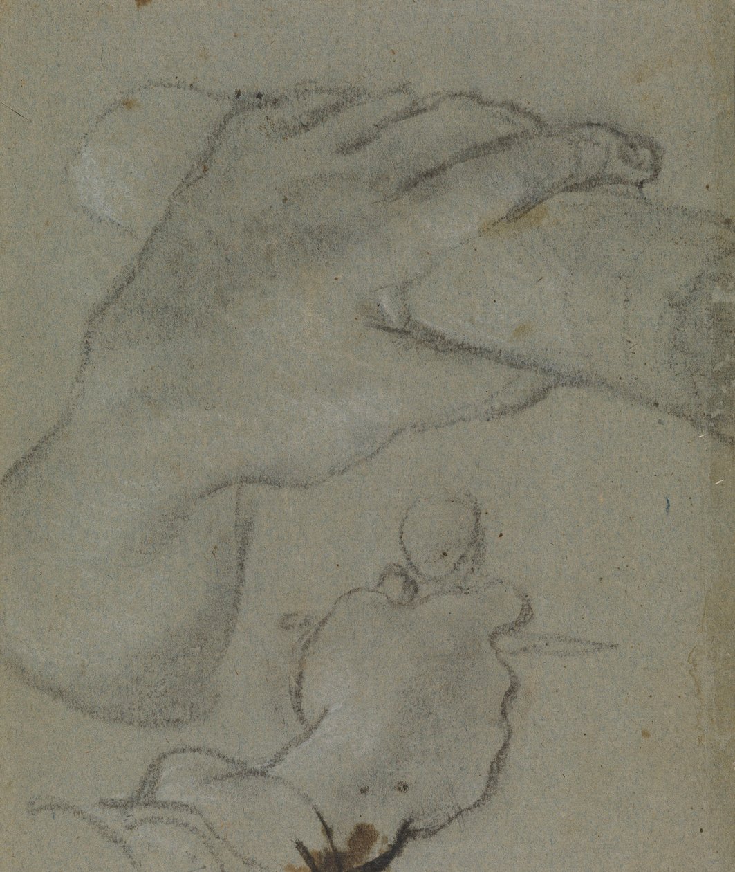 Carracci - v tanulmány az E. Szent János kezéhez, RCIN 902115 alkotó: Annibale Carracci