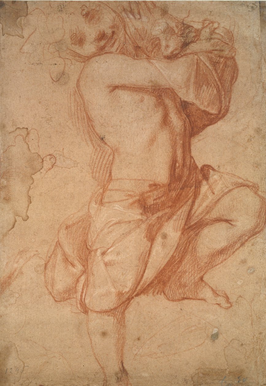 Félig meztelen fiú, 16. század vége alkotó: Annibale Carracci