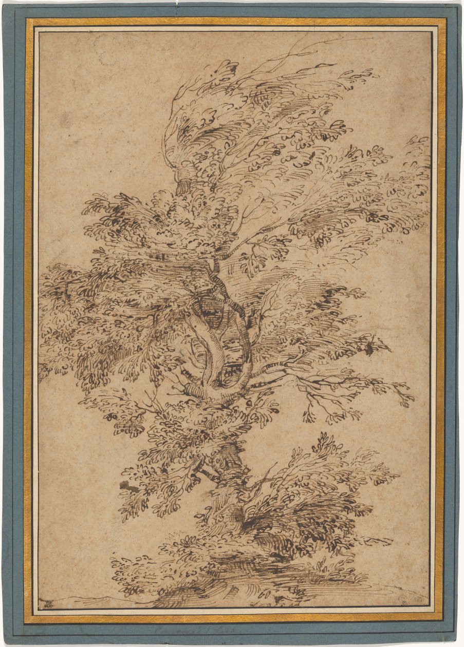 Studie eines Baumes alkotó: Annibale Carracci