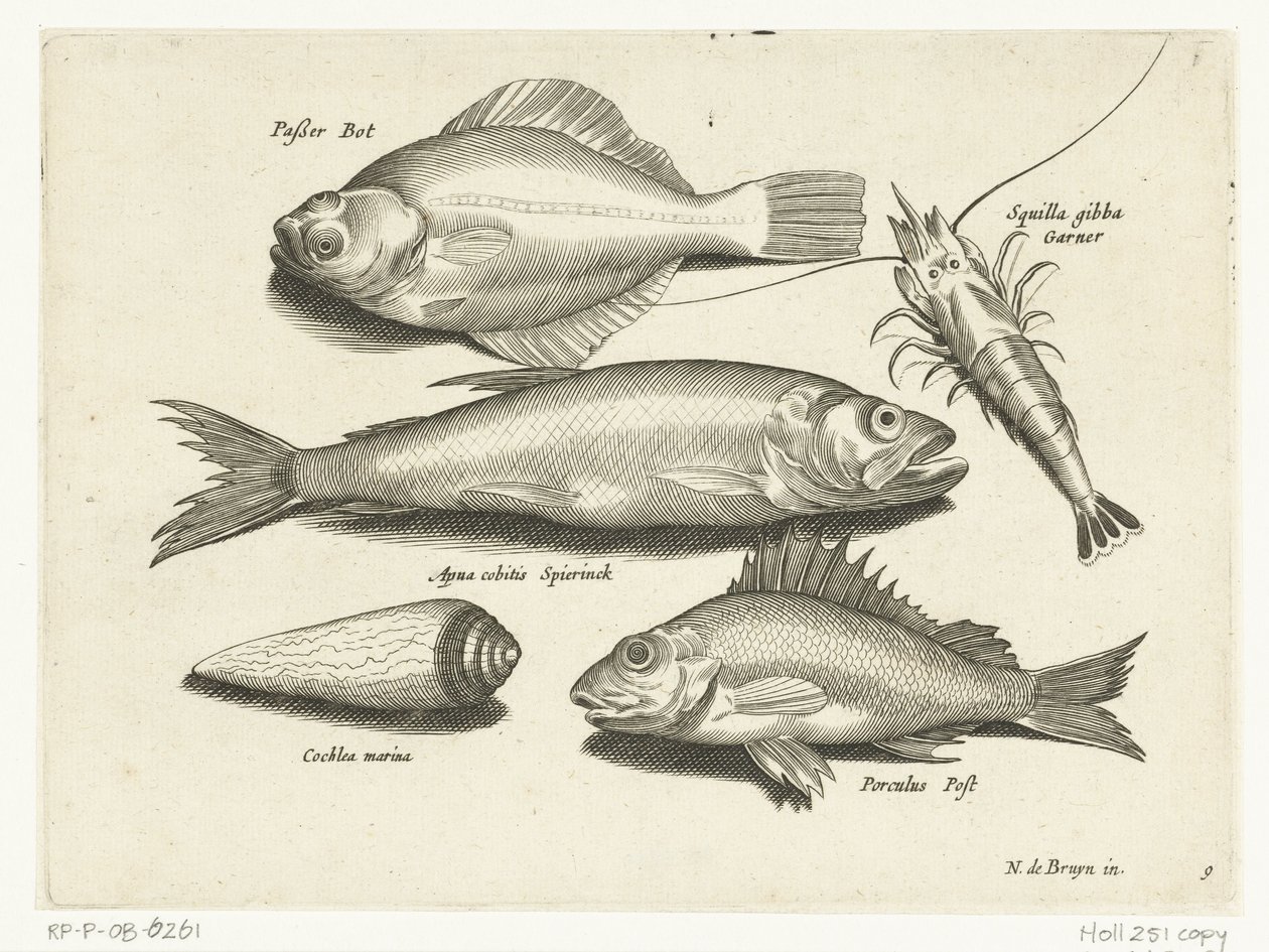 Lepényhal, garnélarák, szag és poz Libelivs miscellaneous Genera piscium complectens (sorozat címe) Édesvízi halak, tengeri halak, békák, rákfélék és tengeri élőlények (sorozat címe) alkotó: Anonymous