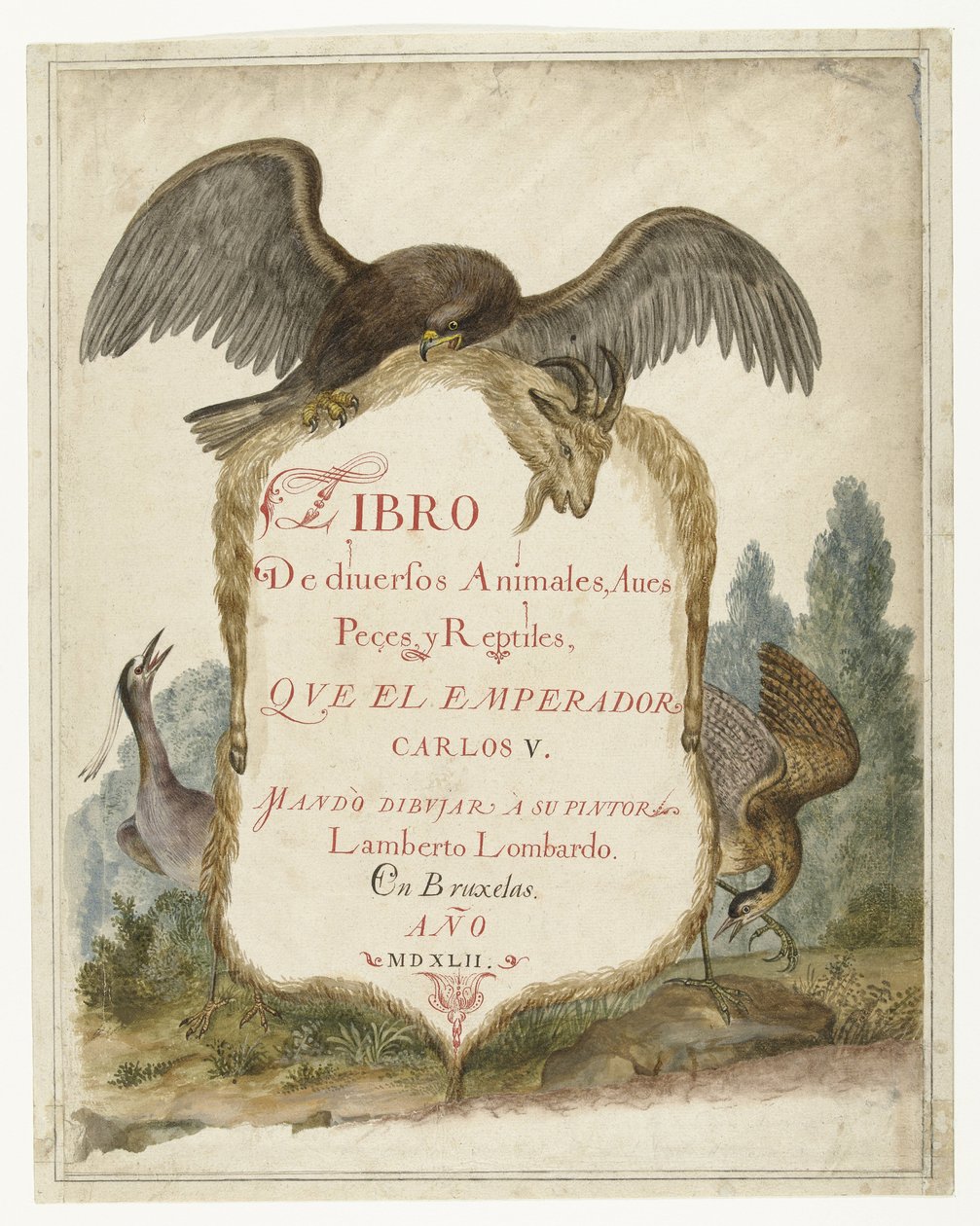 Cartouche-t egy rétisas, éjszakai gém és keserű tartott fel Lombard album (sorozat címe) alkotó: Anonymous
