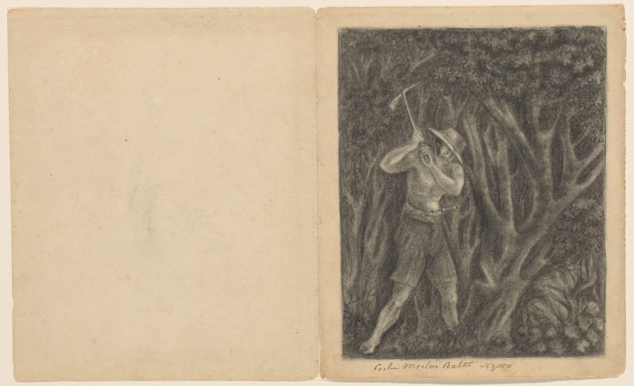 Coolen elkezd kivágni egy erdőt Ngoróban, 1820-1850 körül alkotó: Anonymous