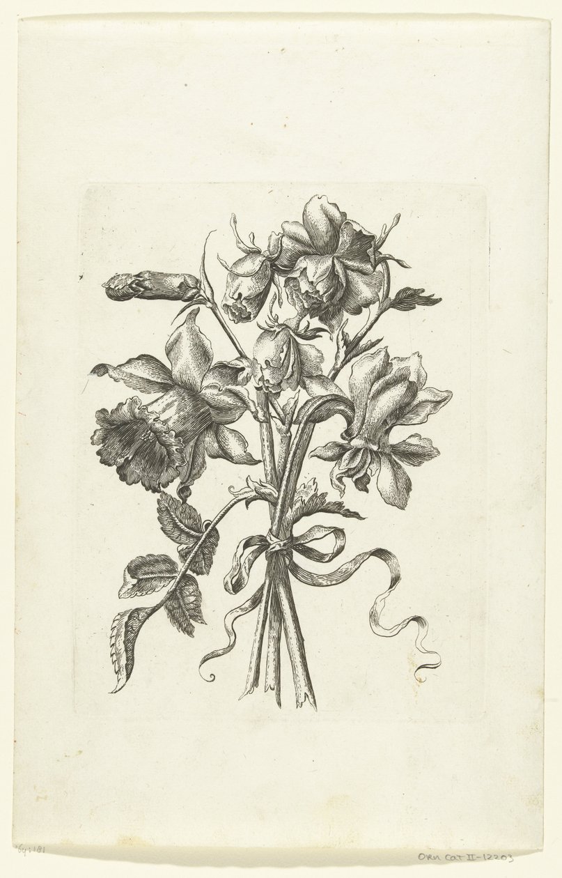 Három virág, köztük egy nárcisz és egy szegfű Novae Florum Icones (sorozat címe) alkotó: Anonymous