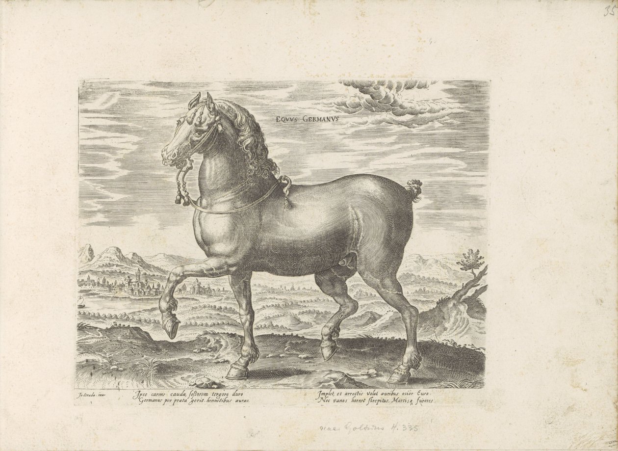Duits paard német ló (cím a tárgyon) Paardenrassen uit de Koninklijke stallen van Don Juan van Oostenrijk (sorozat címe) A ló, amelyben mindenféle nemes: a világ legkülönbözőbb pontjairól megkülönböztetett lovak viselkedése válogatott (...) (sorozat címe a alkotó: Anonymous