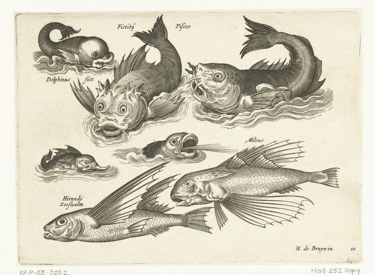 Fantasztikus vízi állatok, köztük delfin és pitfish Libelivs miscellaneous Genera piscium complectens (sorozat címe) Édesvízi halak, tengeri halak, békák, rákfélék és tengeri élőlények (sorozat címe) alkotó: Anonymous