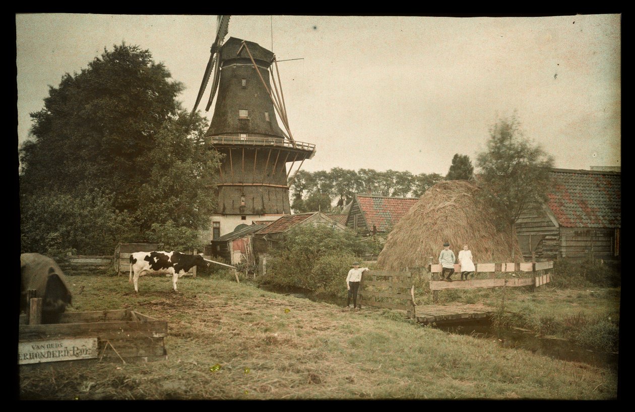 Farm jelenet szélmalommal, lekötött tehénnel és pózoló gyerekekkel, Hollandia alkotó: Anonymous