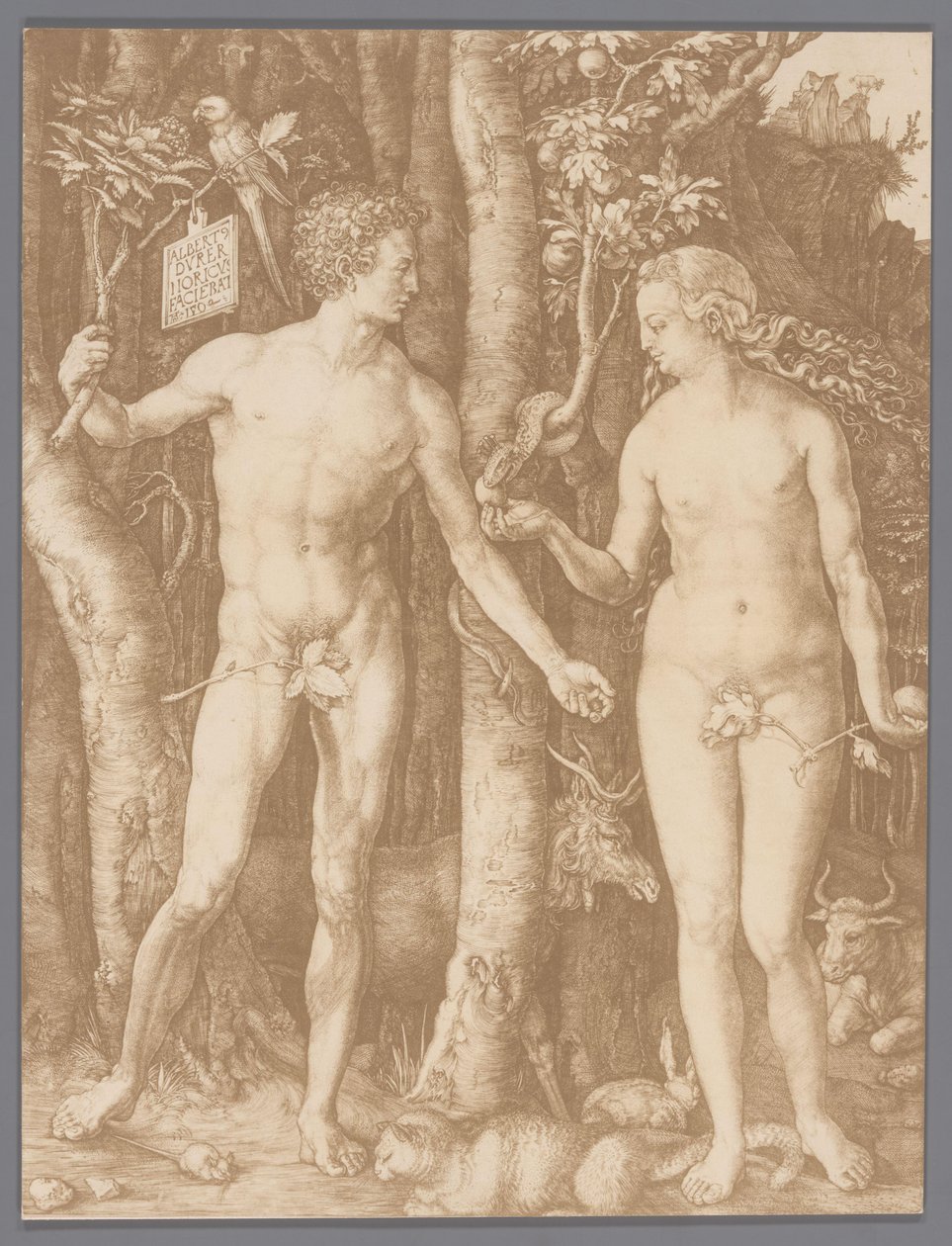 Albrecht Dürer Ádám és Éva metszetének fényképreprodukciója alkotó: Anonymous