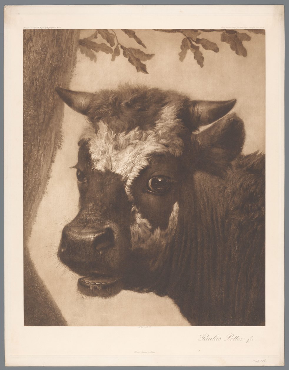 A bika című festmény fotóreprodukciója Paulus Potter, coll. Mauritshuis 1902 – Nem. 15. / Konigl. Museum im Haag (sorozat címe) alkotó: Anonymous