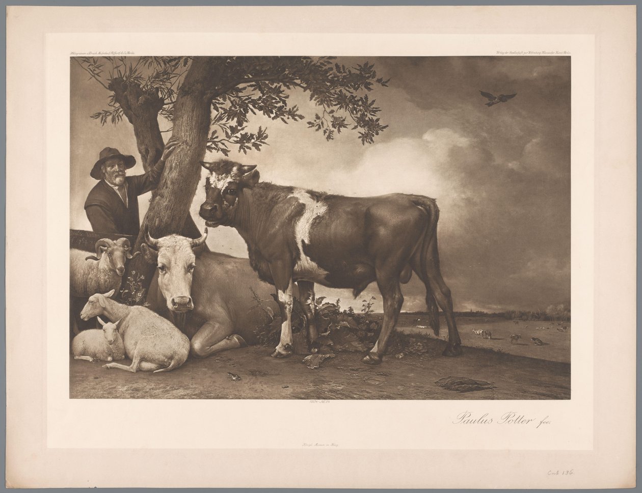 Paulus Potter A bika című képének fotóreprodukciója, coll. Mauritshuis 1904 – Nem. 54. / Konigl. Múzeum Hágában (sorozat címe) alkotó: Anonymous